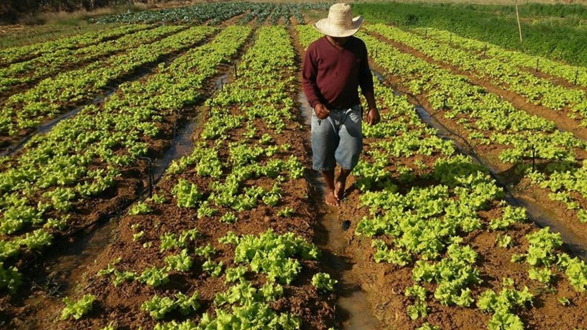 ‘Não deveria haver fome na América Latina’, diz pesquisador.