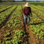 ‘Não deveria haver fome na América Latina’, diz pesquisador.